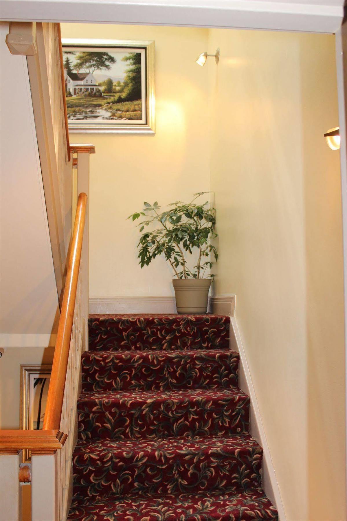 Le Saint-Malo Hotel Montréal Dış mekan fotoğraf